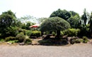 杜の穂倉邸の庭園