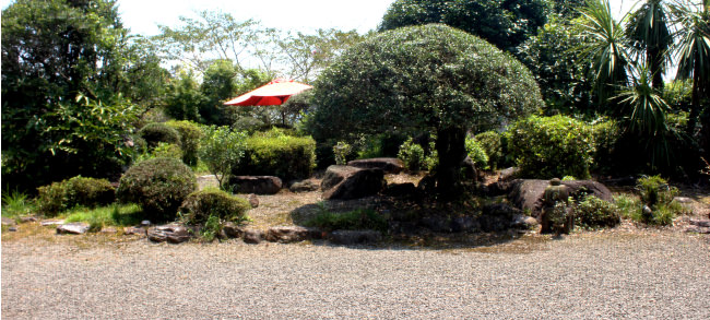 杜の穂倉邸の庭