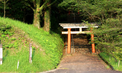 公園近くの皇子原神社