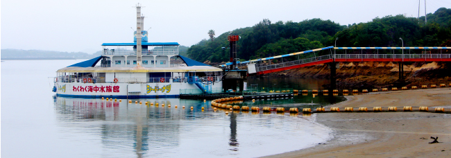 わくわく海中水族館シードナツ